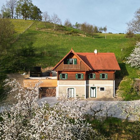 Villa Pettinger Stoeckl à Heimschuh Extérieur photo